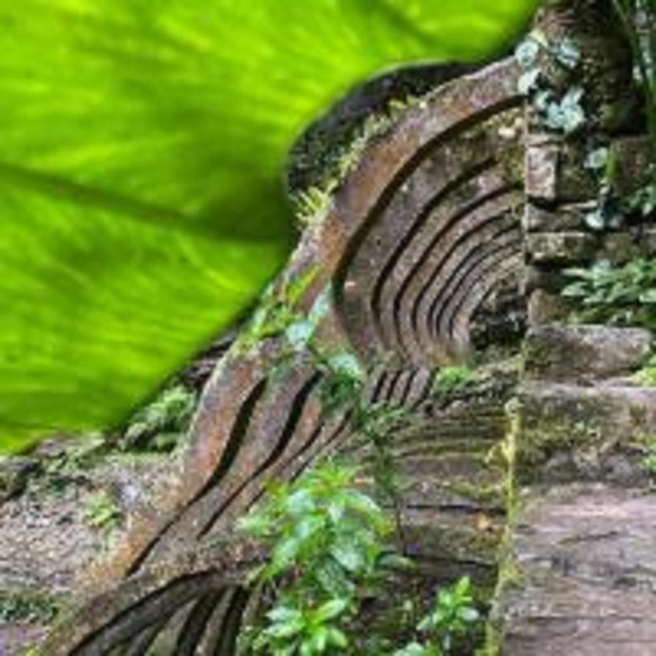 Grann Posada Xilitla Exteriör bild