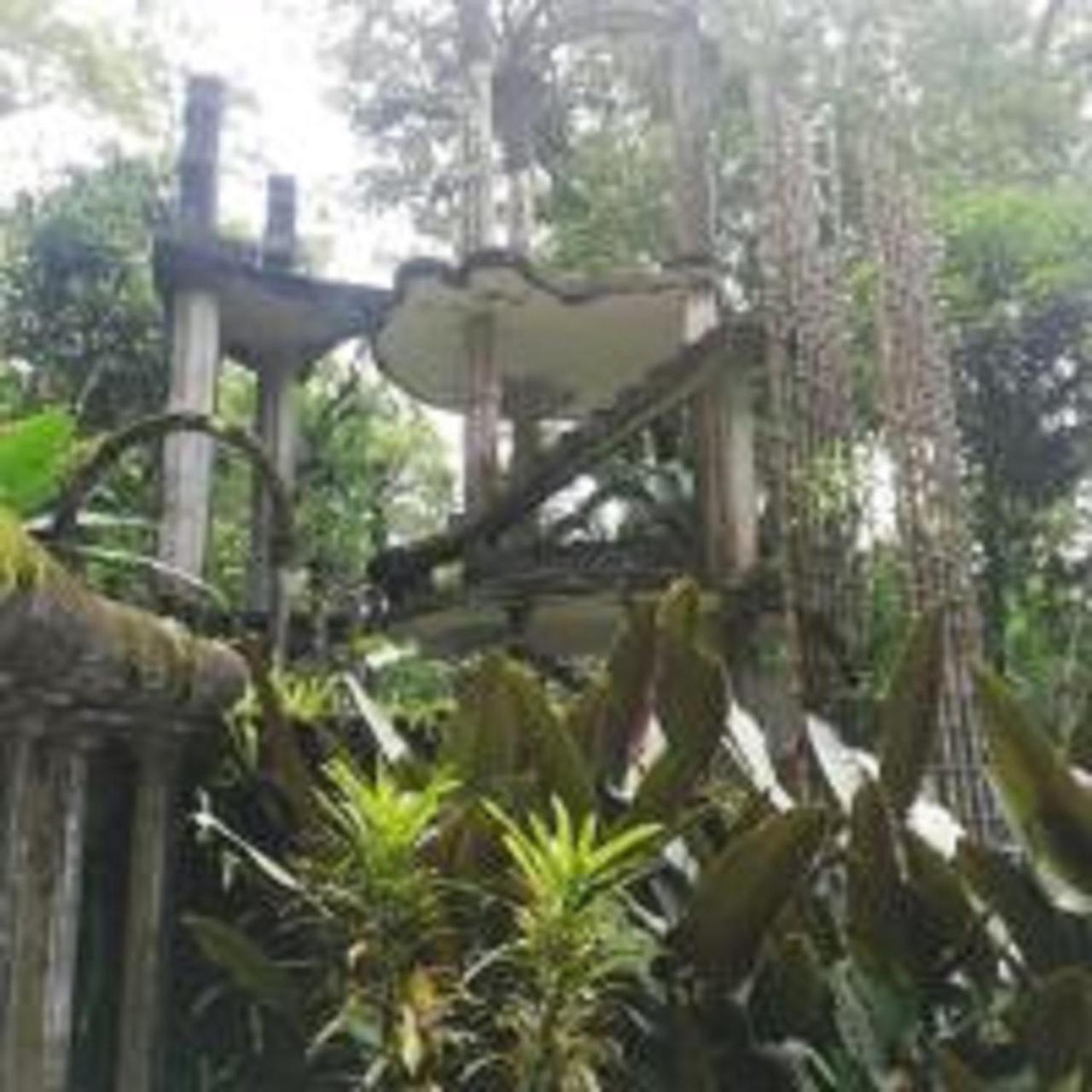 Grann Posada Xilitla Exteriör bild